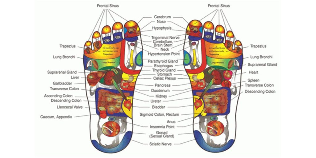 FOOT REFLEXOLOGY SFCT